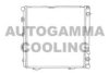 AUTOGAMMA 100539 Radiator, engine cooling